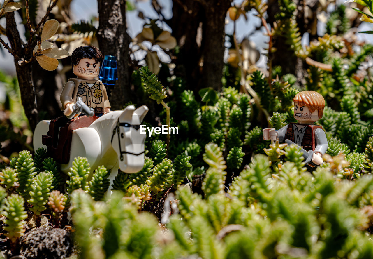 Close-up of toy amidst plants outdoors