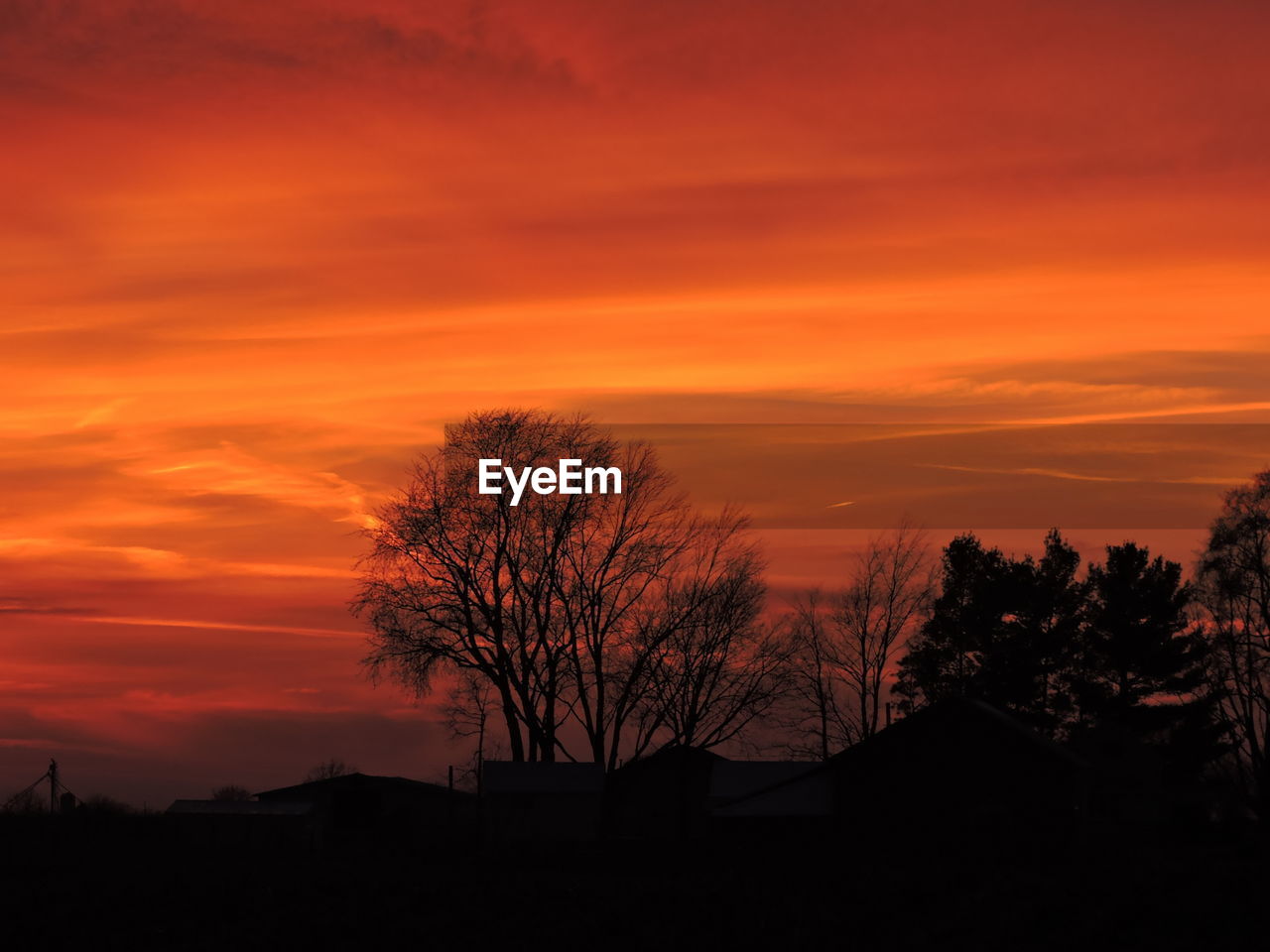 Silhouette trees against dramatic sky during sunset