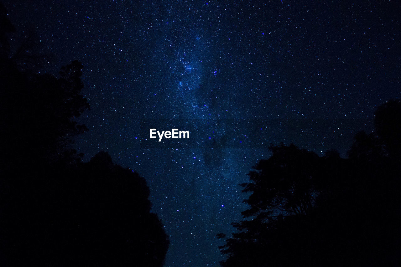 Low angle view of silhouette trees against sky at night