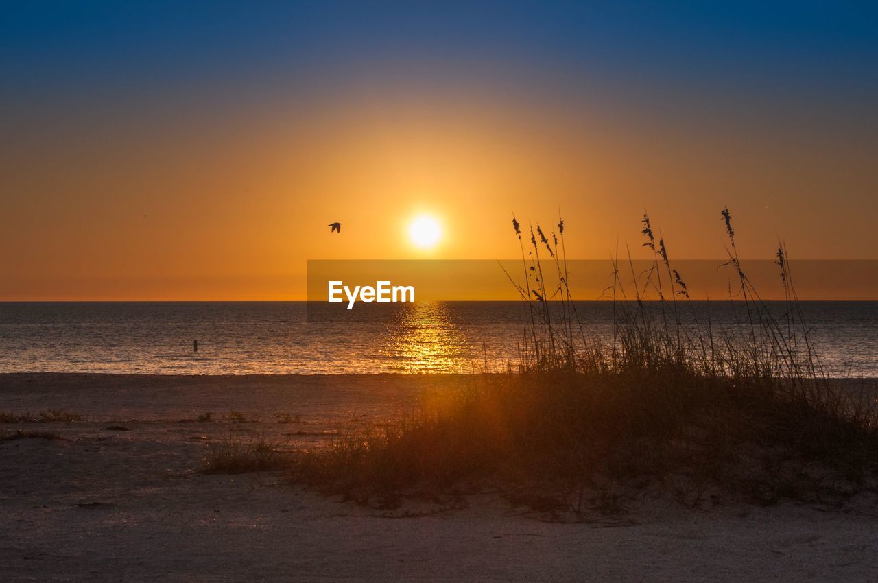 Scenic view of sea against sky during sunset