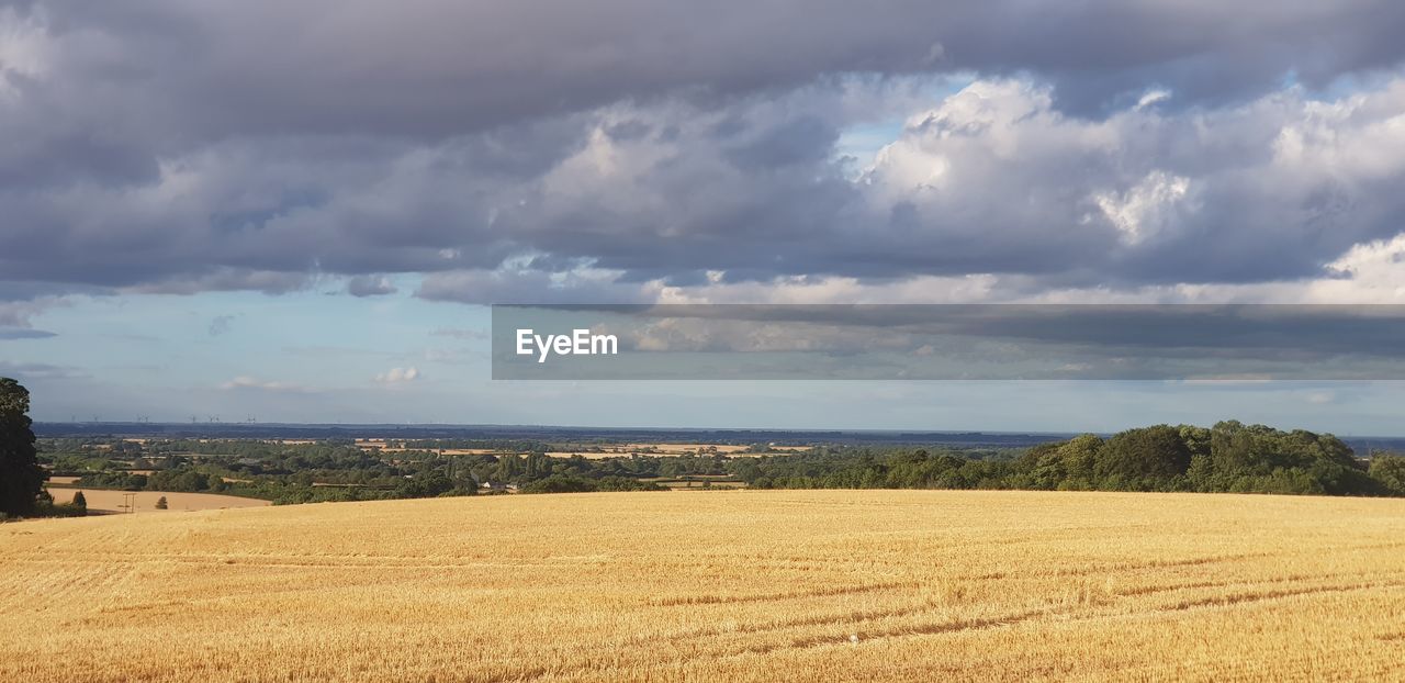 cloud, landscape, sky, land, environment, rural scene, agriculture, field, horizon, nature, plain, scenics - nature, crop, plant, rural area, farm, beauty in nature, cereal plant, prairie, tranquility, growth, tranquil scene, day, grassland, no people, outdoors, cloudscape, wheat, harvest, barley, sunlight, idyllic, food, storm, tree, corn, harvesting, horizon over land, storm cloud, hill