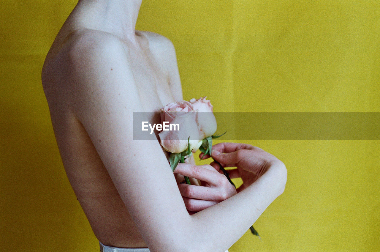 Midsection of naked person holding roses against yellow background