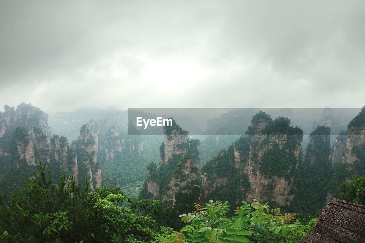 TREES ON LANDSCAPE AGAINST CLOUDY SKY