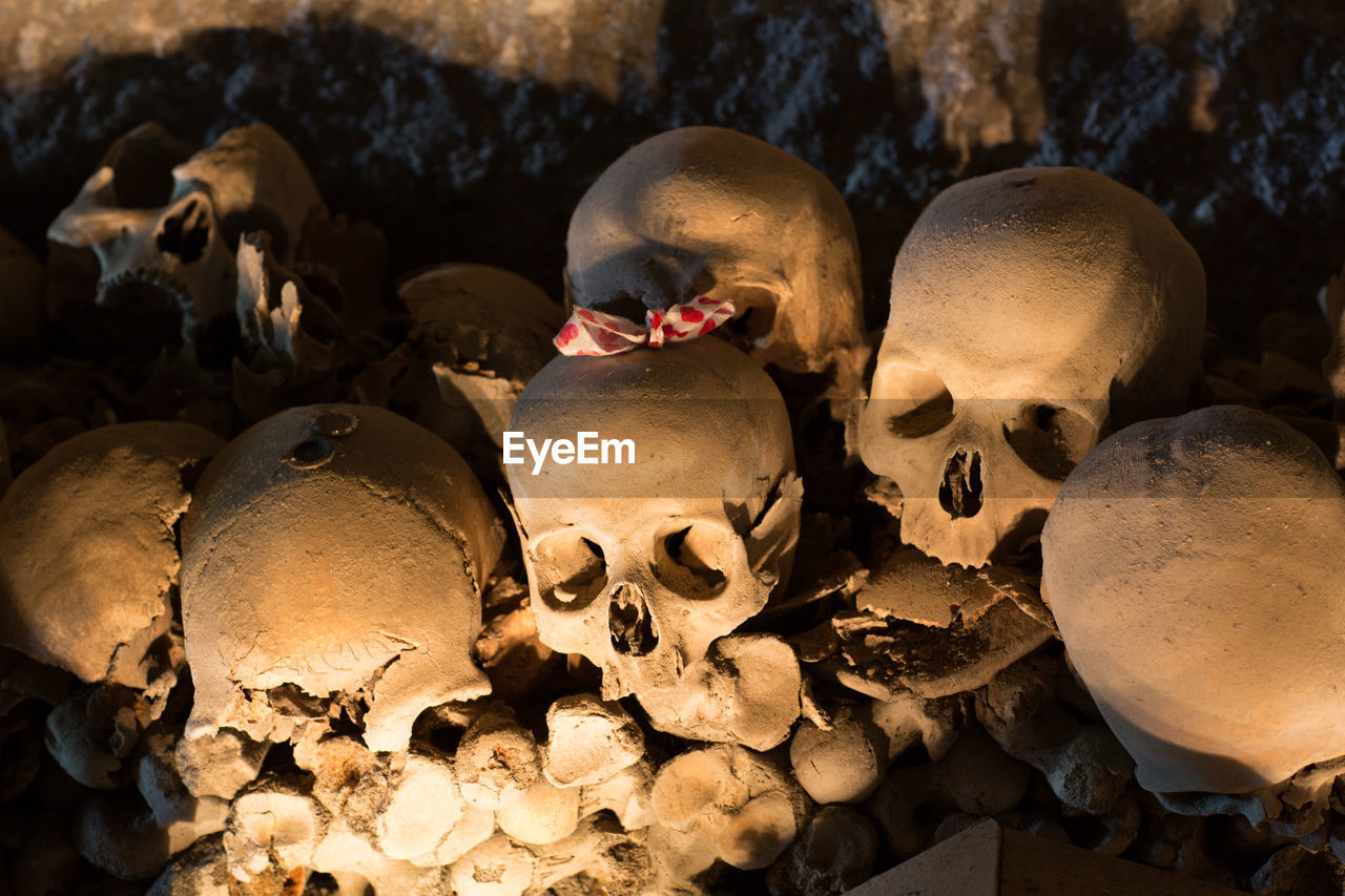 Close-up of human skulls