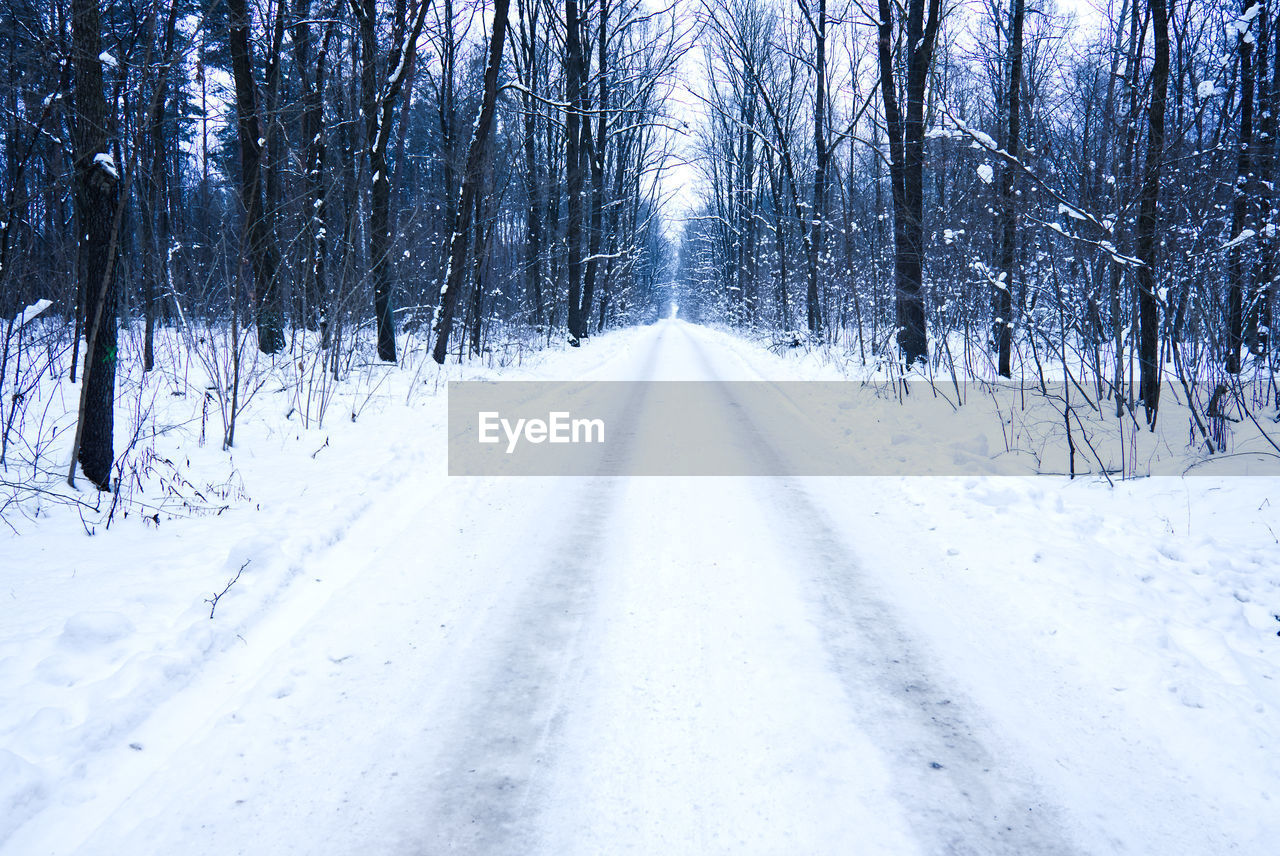 Winter landscape with snow covered road and trees in freezing weather