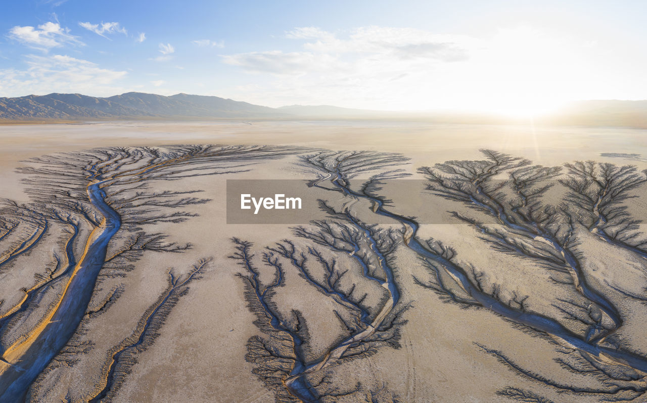 Erosion cuts fratcal tree looking patterns into a dry lake bed i