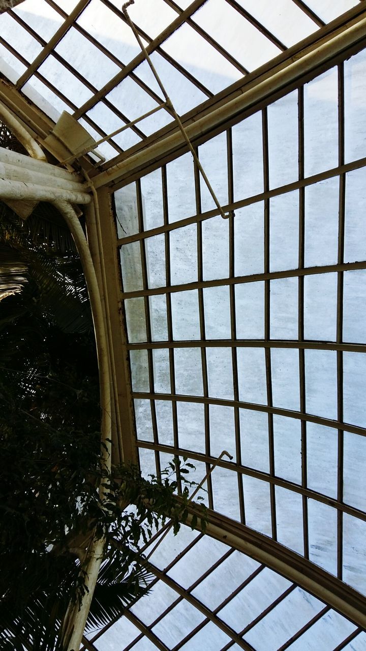 LOW ANGLE VIEW OF GLASS WINDOW WITH CEILING