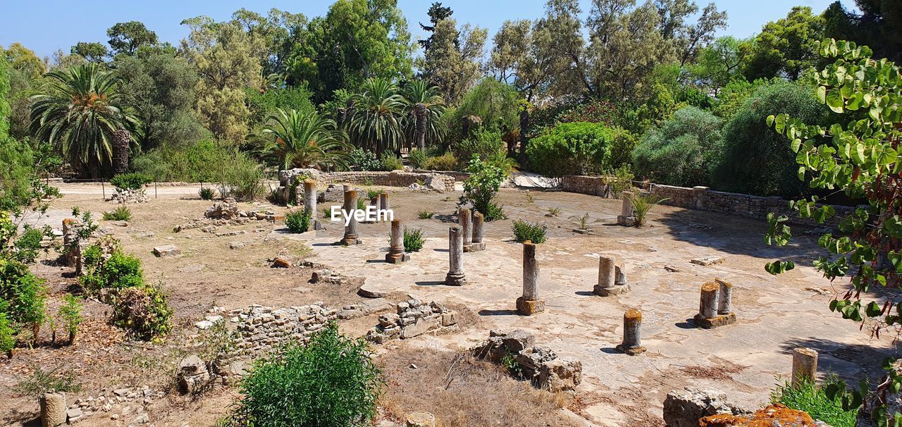plant, tree, grave, cemetery, nature, garden, no people, ruins, sunlight, day, outdoors, history, sunny, growth, land, environment, ancient history, architecture, palm tree, travel destinations, village, sky, the past, travel, landscape, religion, ancient, tropical climate, tranquility, cactus, clear sky, archaeological site, death, tombstone