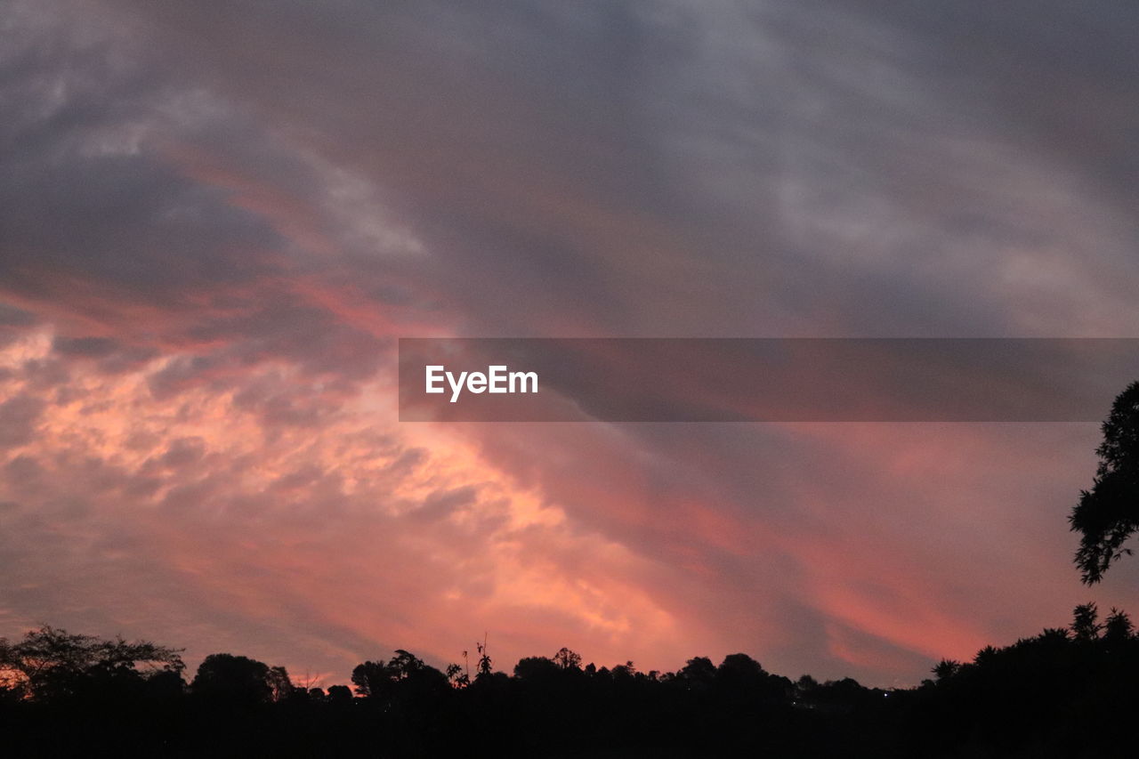 LOW ANGLE VIEW OF SILHOUETTE TREES AGAINST SKY AT SUNSET