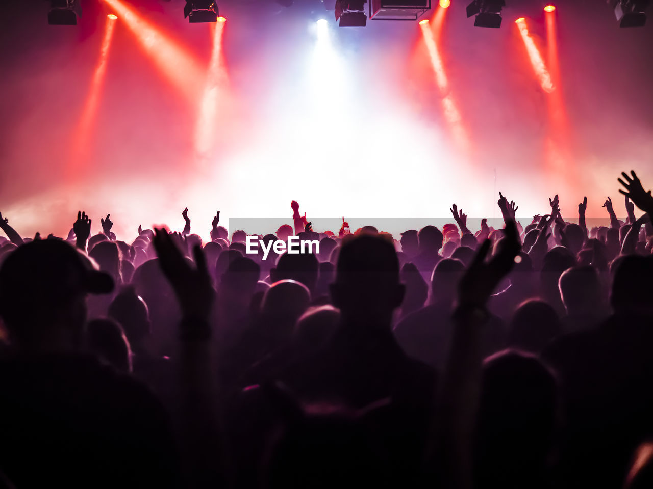 Rear view of silhouette crowd enjoying during music concert