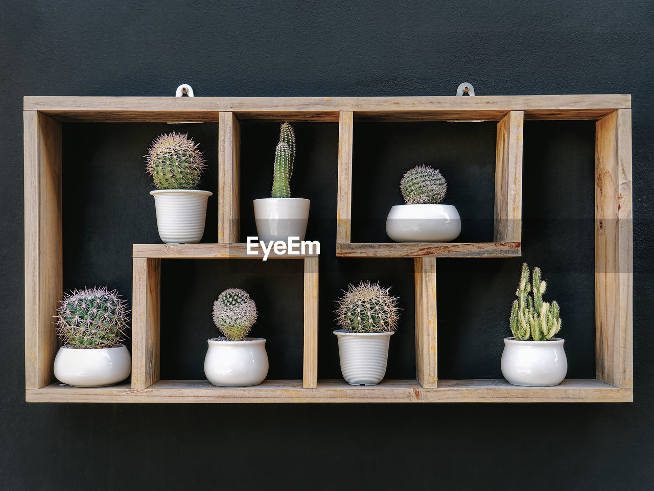 Set of potted cacti on wooden shelf against dark wall