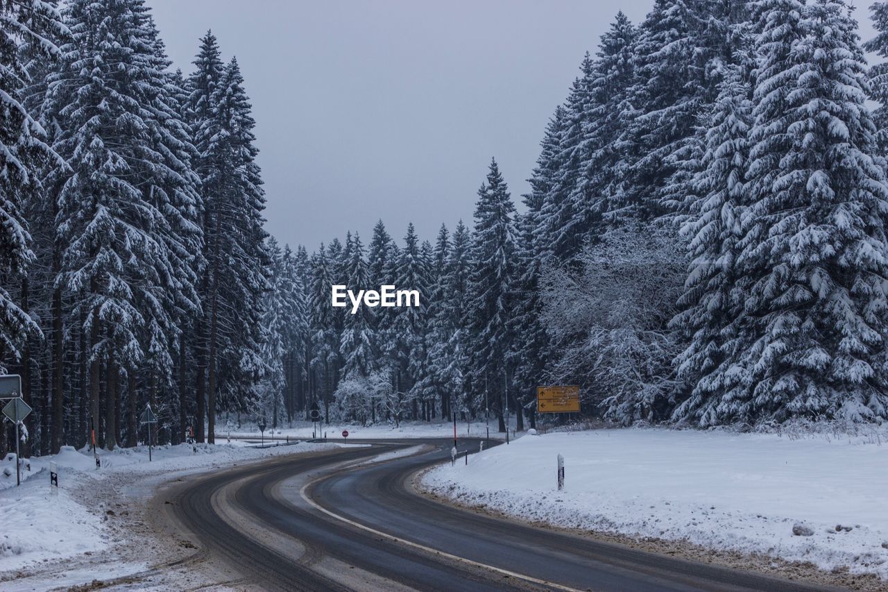 ROAD PASSING THROUGH SNOW COVERED TREES