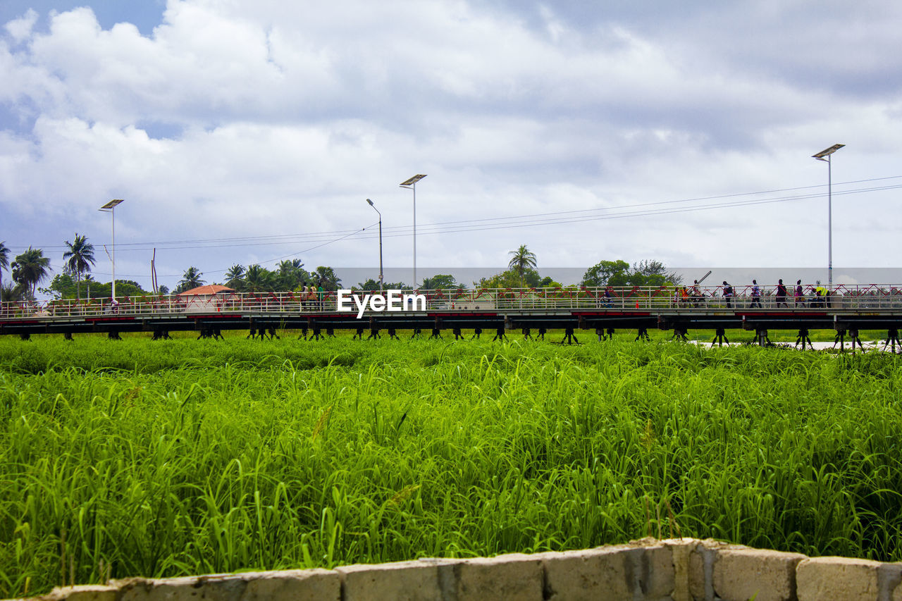 Train on field against sky