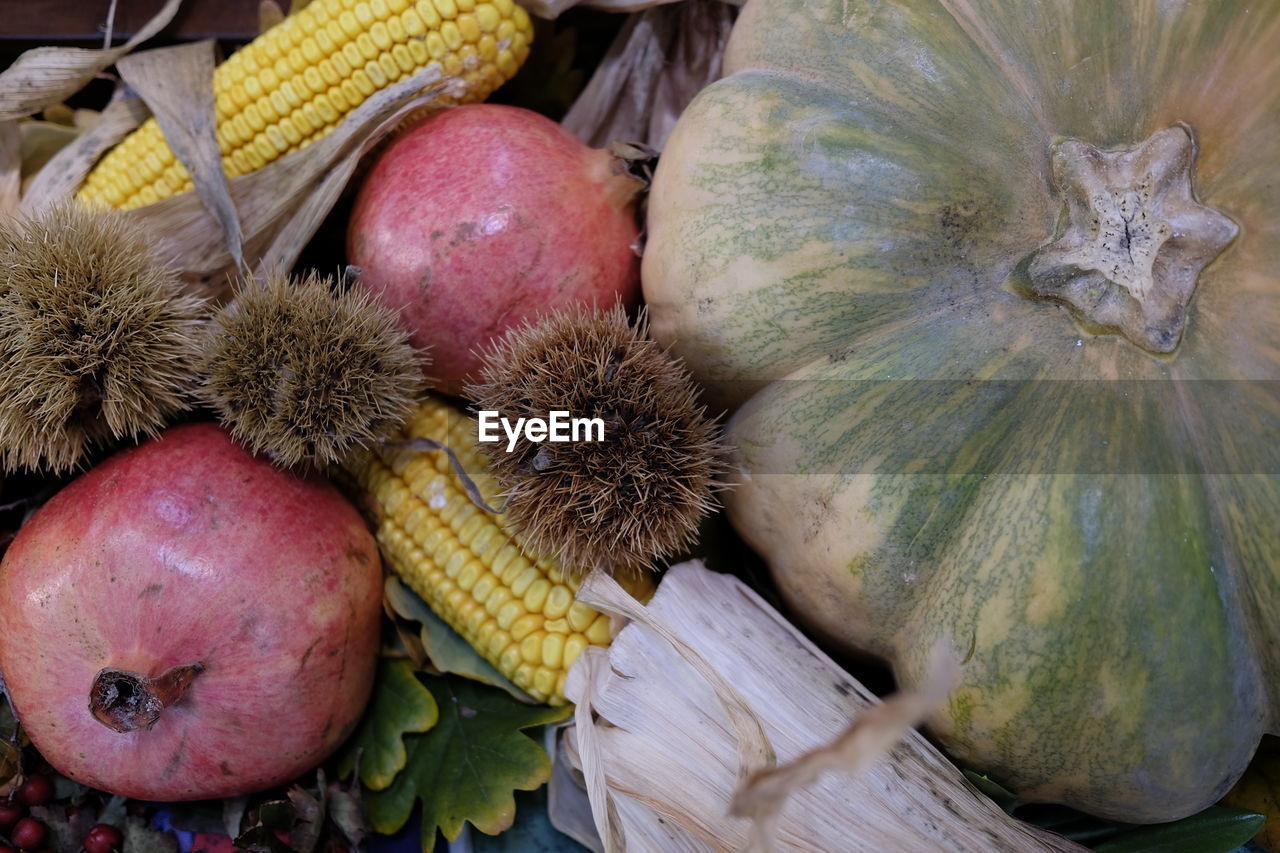 CLOSE UP OF FRUITS