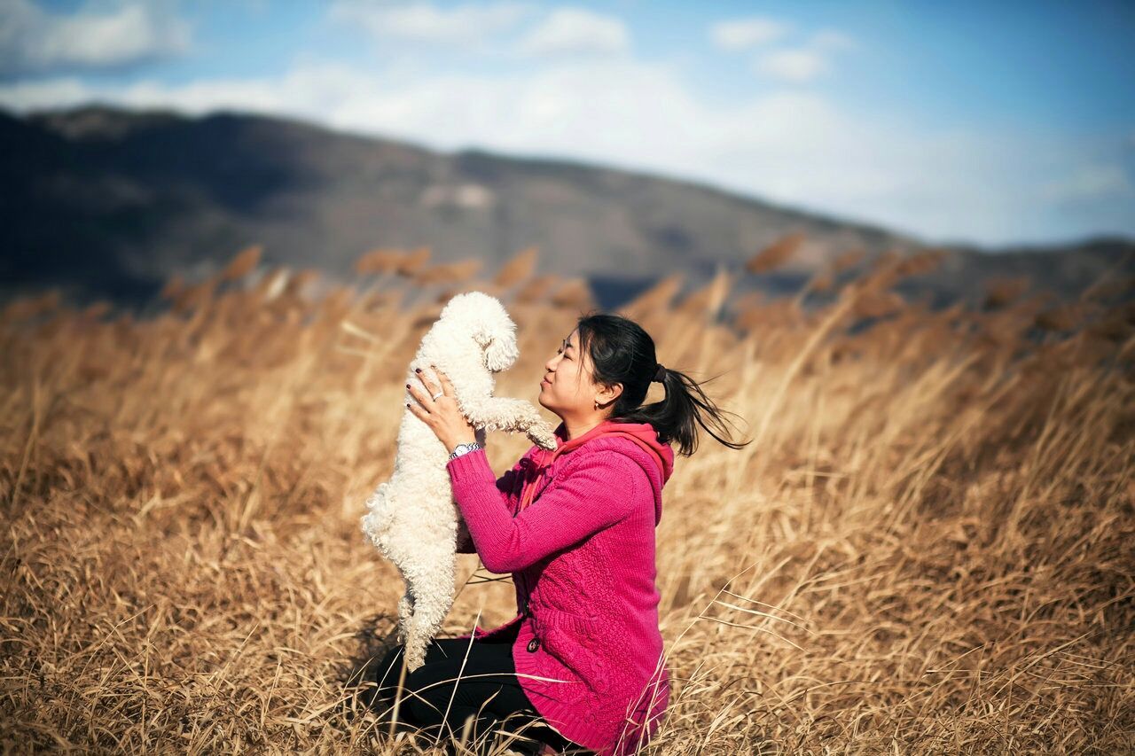 Woman holding white hairy dog on field during sunny day