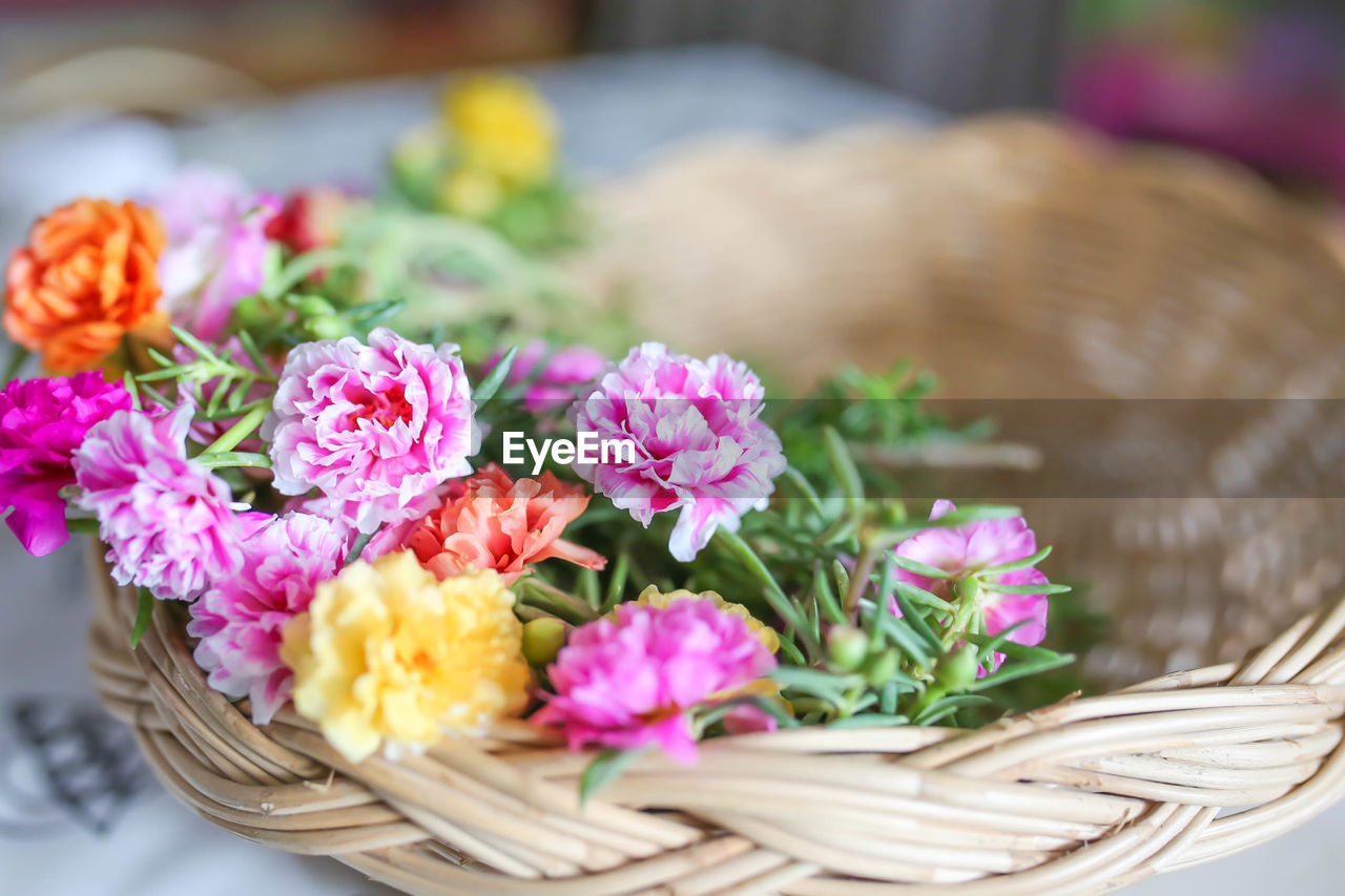 CLOSE-UP OF PINK FLOWERS IN BASKET