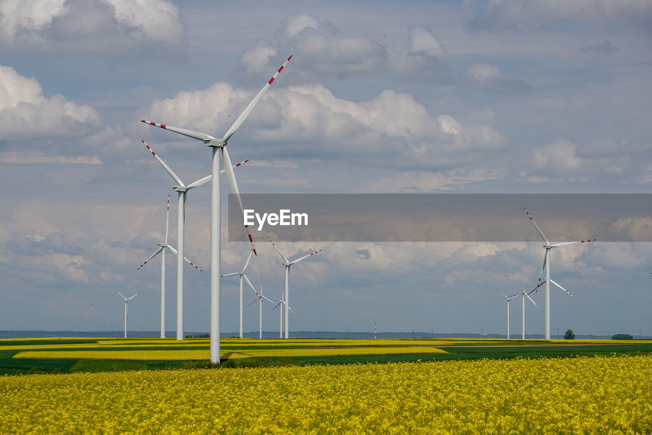 Wind turbines on the oilseed rape field against sky.