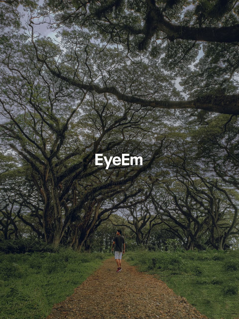 REAR VIEW OF WOMAN WALKING ON FOOTPATH