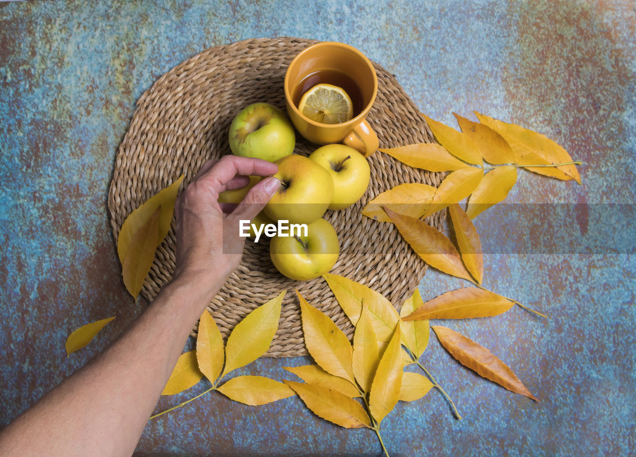 HIGH ANGLE VIEW OF PERSON HAND HOLDING FRUIT