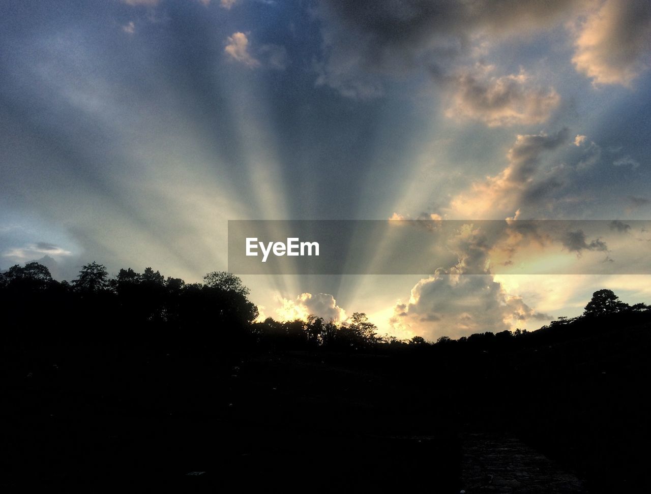 SCENIC VIEW OF SILHOUETTE TREES AGAINST SKY AT SUNSET