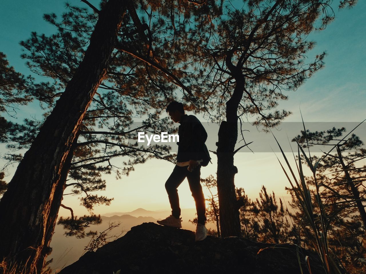 tree, sky, one person, sunset, silhouette, plant, nature, full length, men, adult, leisure activity, sunlight, lifestyles, standing, activity, land, beauty in nature, person, outdoors, adventure, mountain, scenics - nature, evening, sports, landscape, back lit, hiking, side view