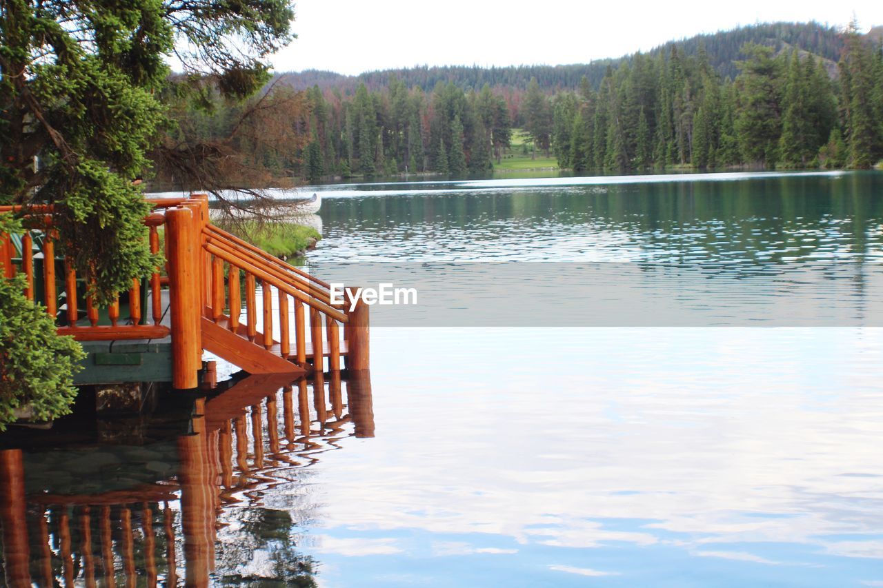 Scenic view of lake in forest against sky