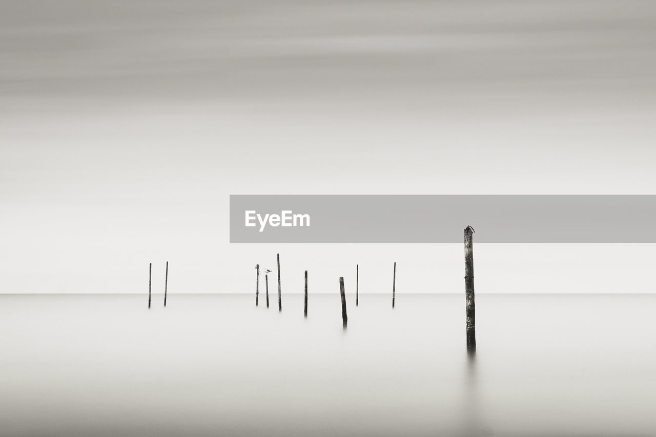 Wooden posts in sea against sky