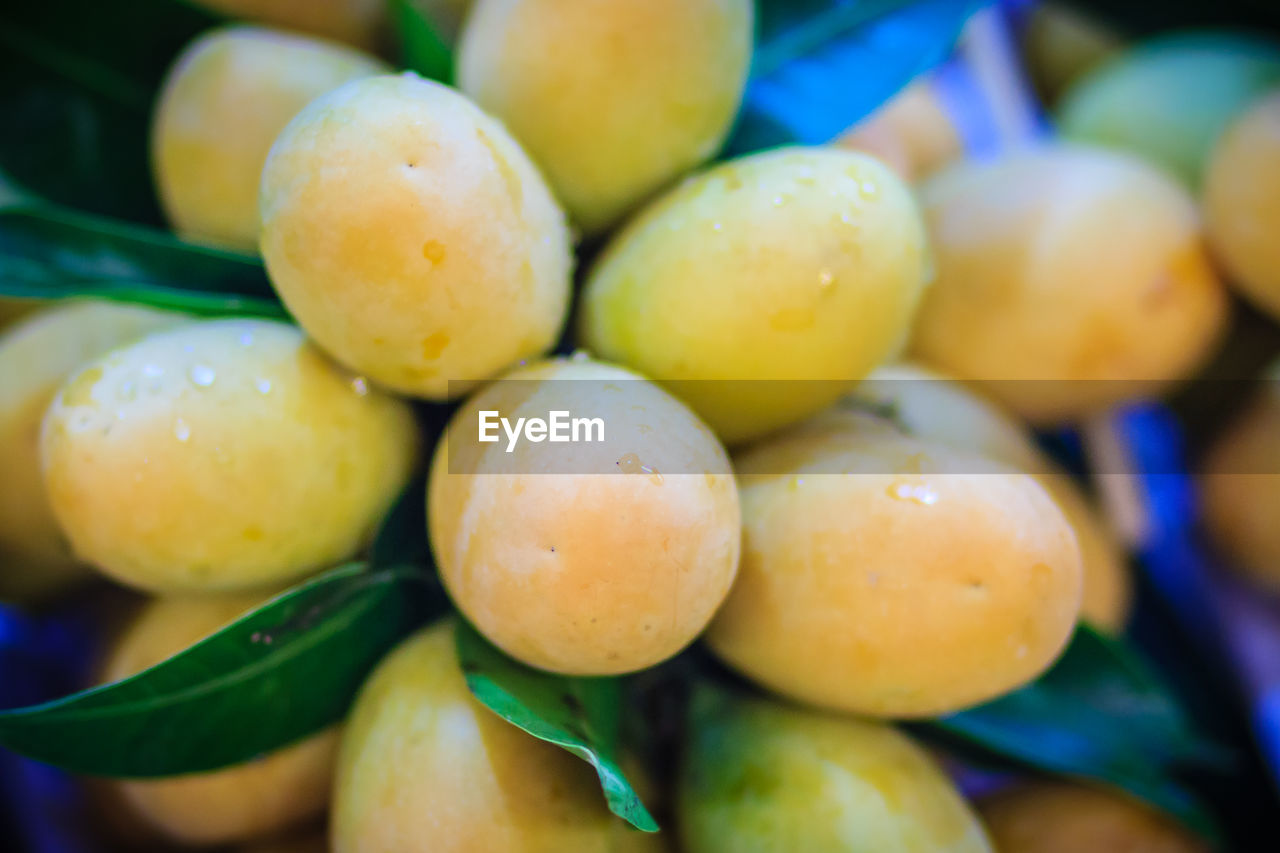 FULL FRAME SHOT OF ORANGES