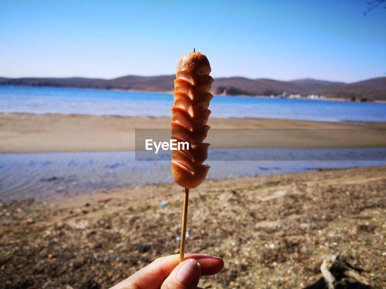 Cropped hand holding sausage on stick