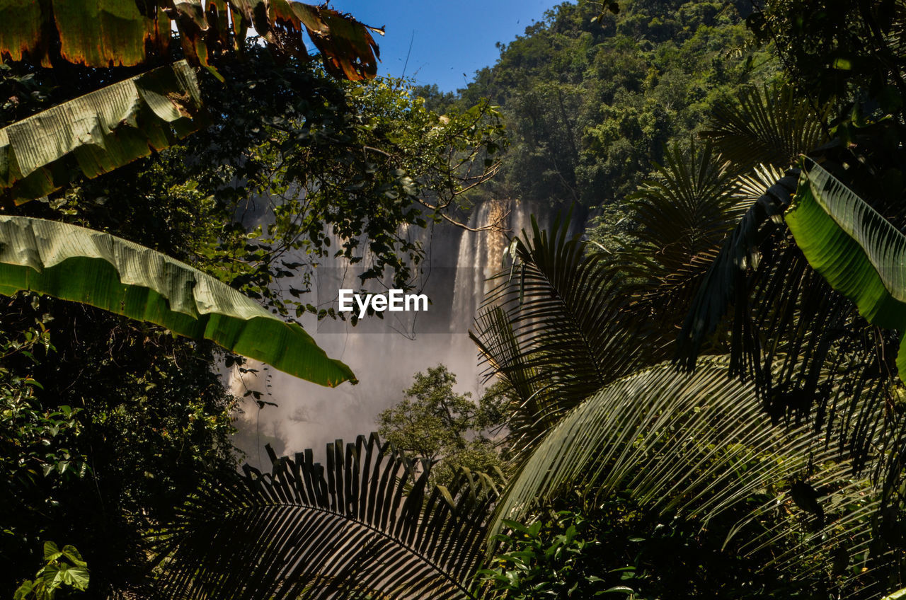 Thi lo su waterfall in umphang wildlife sanctuary, umphang tak, thailand.