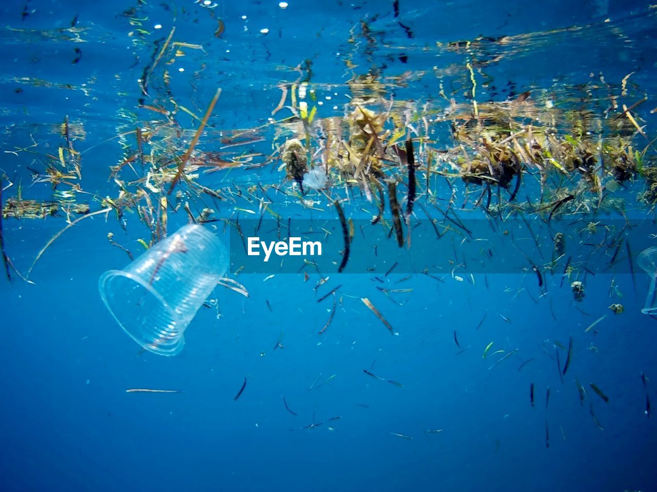 Plastic pollution/garbage in the ocean near marsa alam, egypt