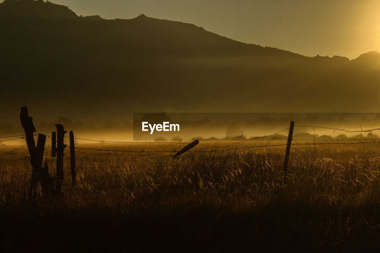 Scenic view of field against sky at sunset