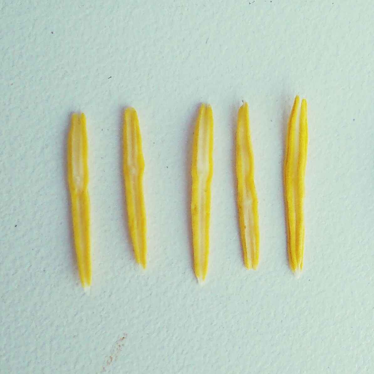 CLOSE-UP OF FOOD OVER WHITE BACKGROUND