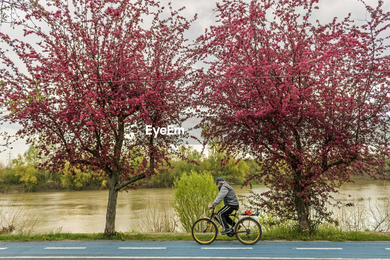 MAN RIDING BICYCLE BY RIVER