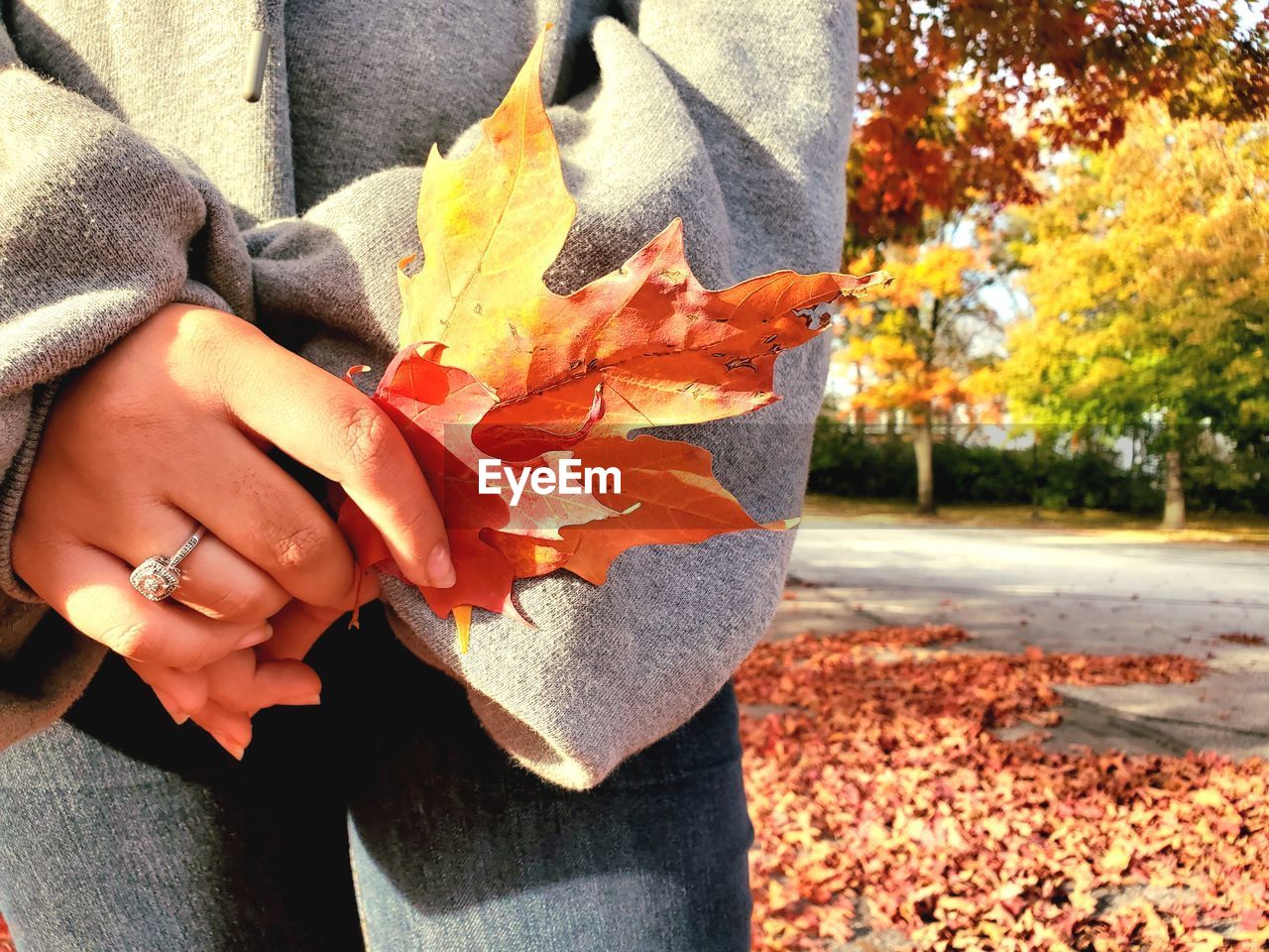 autumn, leaf, plant part, yellow, one person, nature, day, orange color, spring, plant, tree, holding, flower, hand, outdoors, sunlight, lifestyles, adult, leaves, leisure activity, maple, women, close-up, maple leaf, falling, beauty in nature, casual clothing, standing, red, park, midsection, dry, fragility