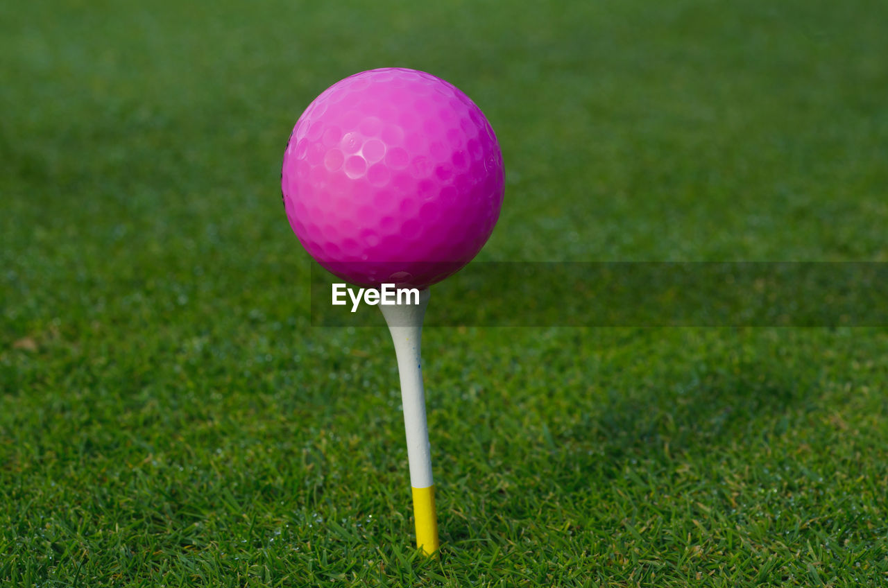 Close-up of pink golf ball on tree