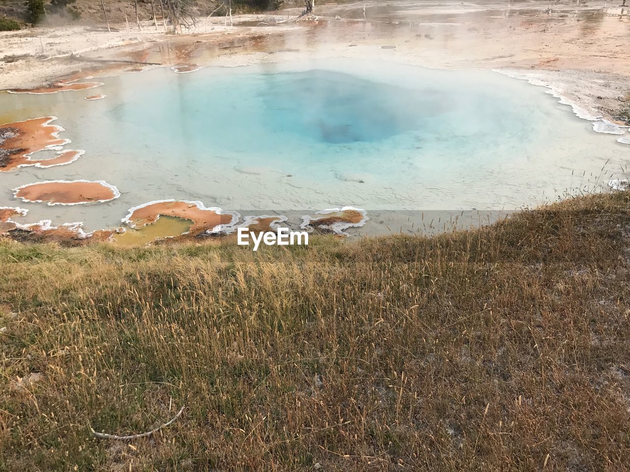 High angle view of water in grass