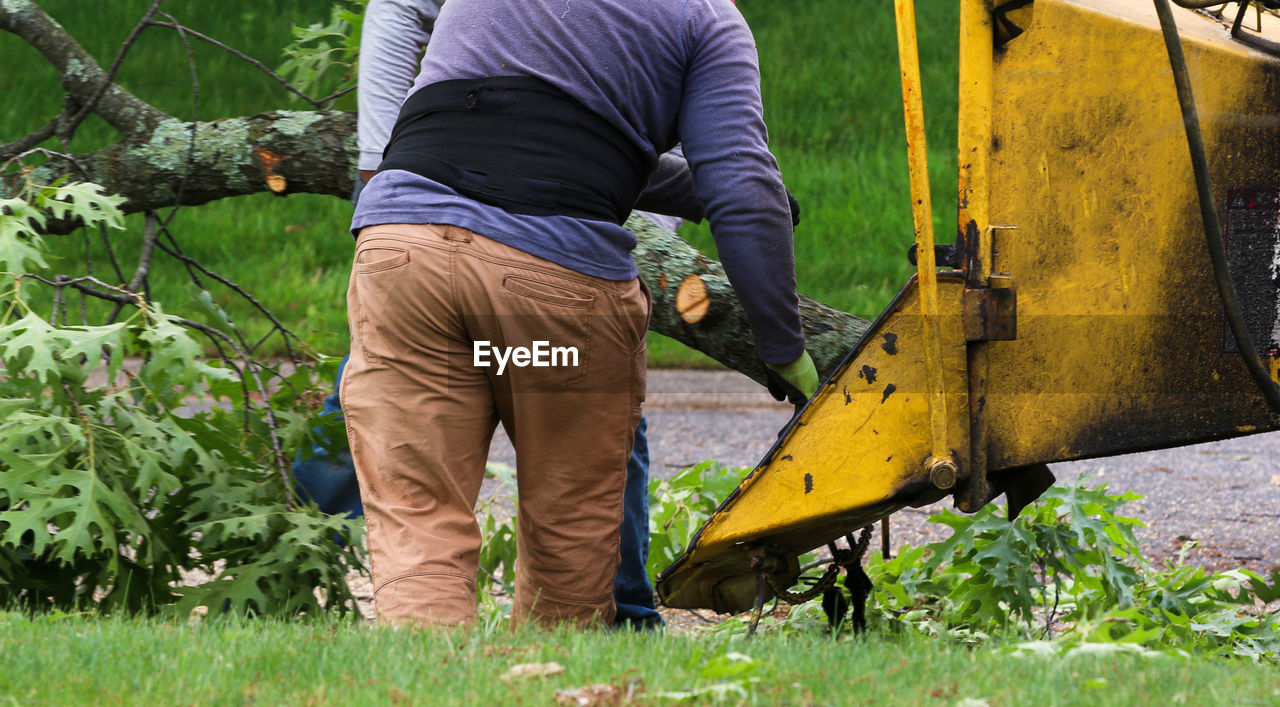 one person, plant, men, agriculture, occupation, working, adult, lawn, nature, day, casual clothing, soil, green, outdoors, tree, grass, standing, lifestyles, growth, rear view, manual worker, land, gardening, field, person