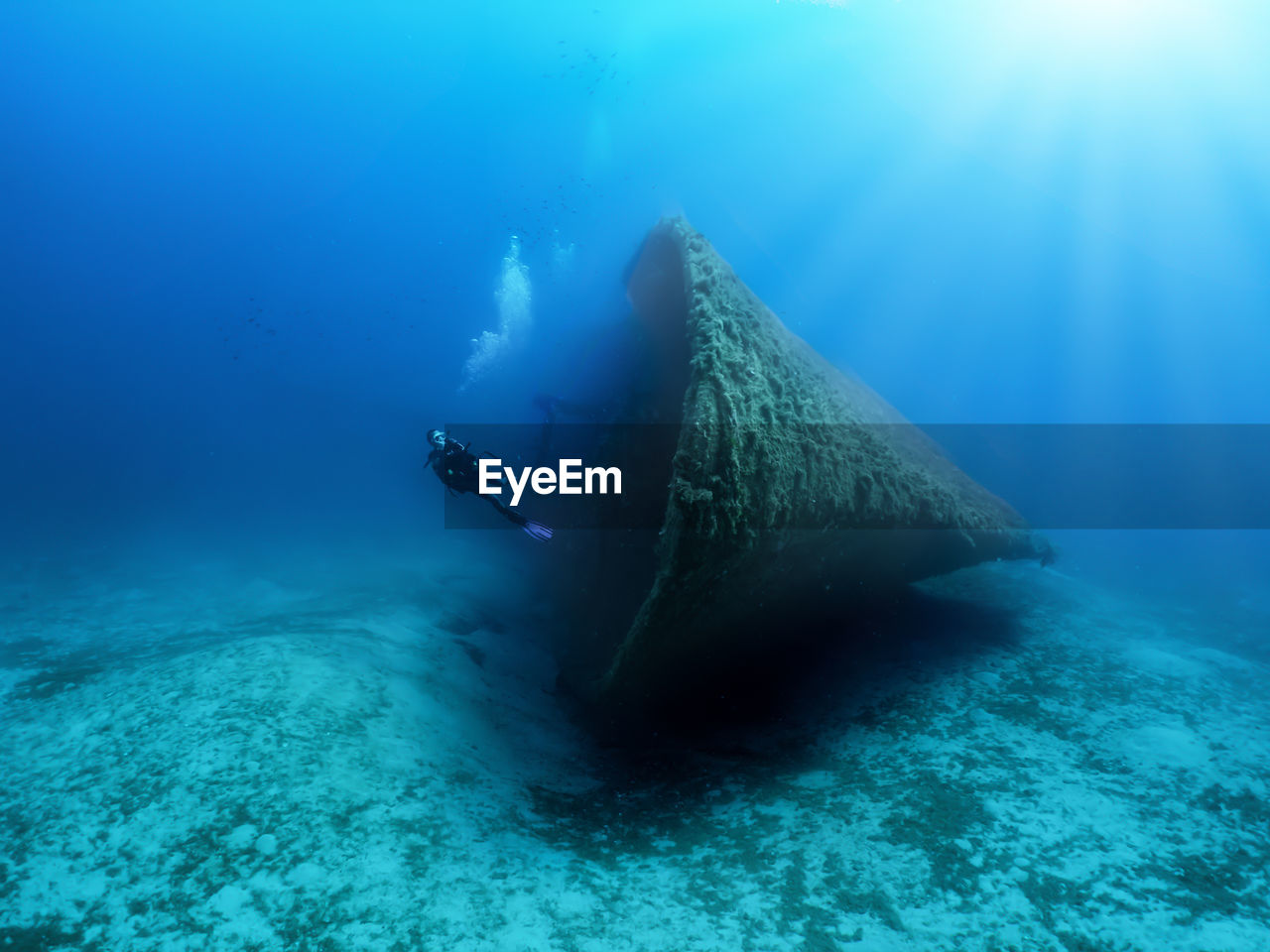 Man scuba diving in sea