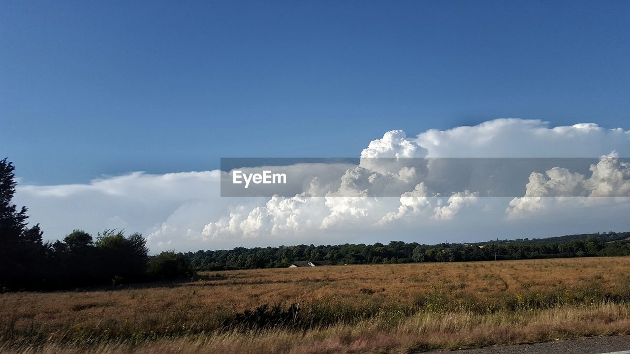 Scenic view of field against sky