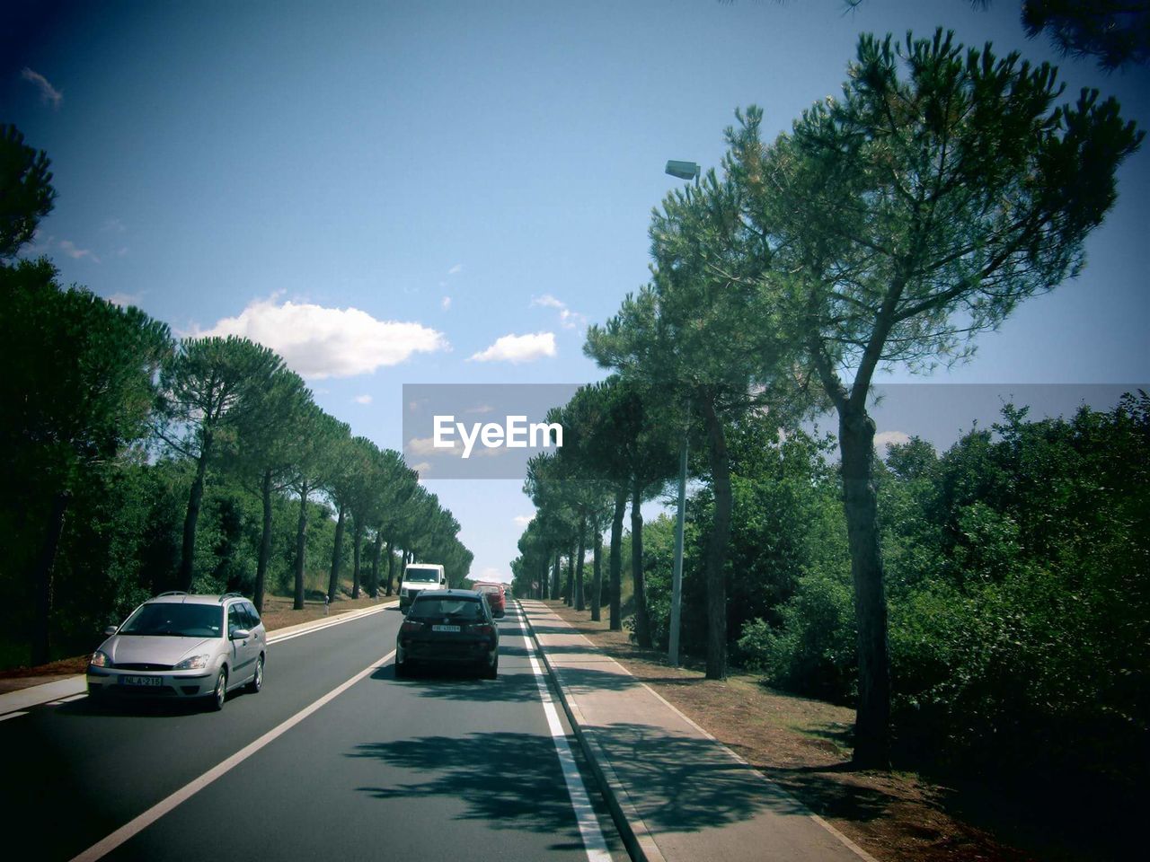 CARS ON ROAD AGAINST TREES AND SKY