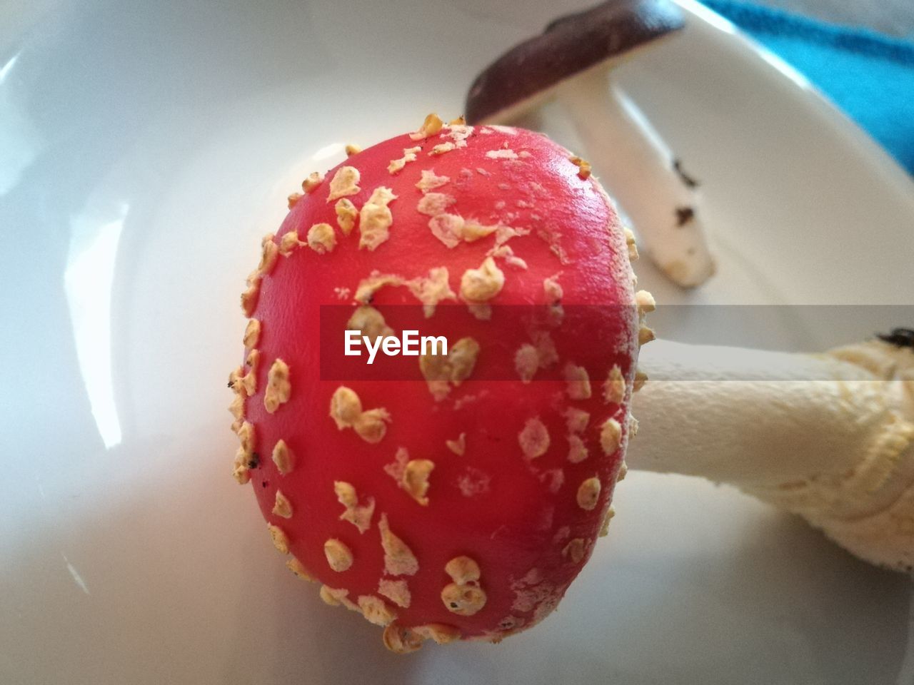 HIGH ANGLE VIEW OF ICE CREAM ON PLATE