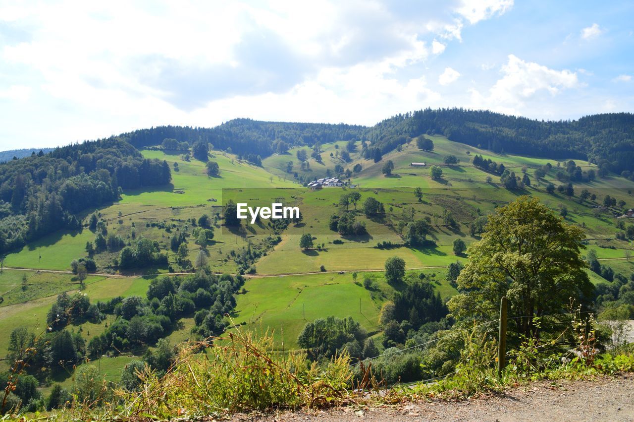 Scenic view of agricultural landscape against sky