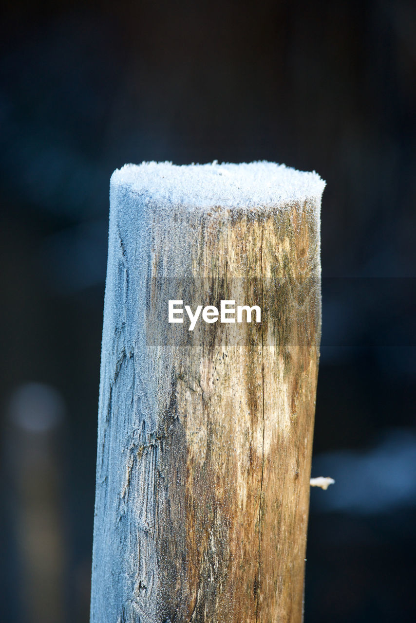 CLOSE-UP OF WOODEN POST ON SNOW