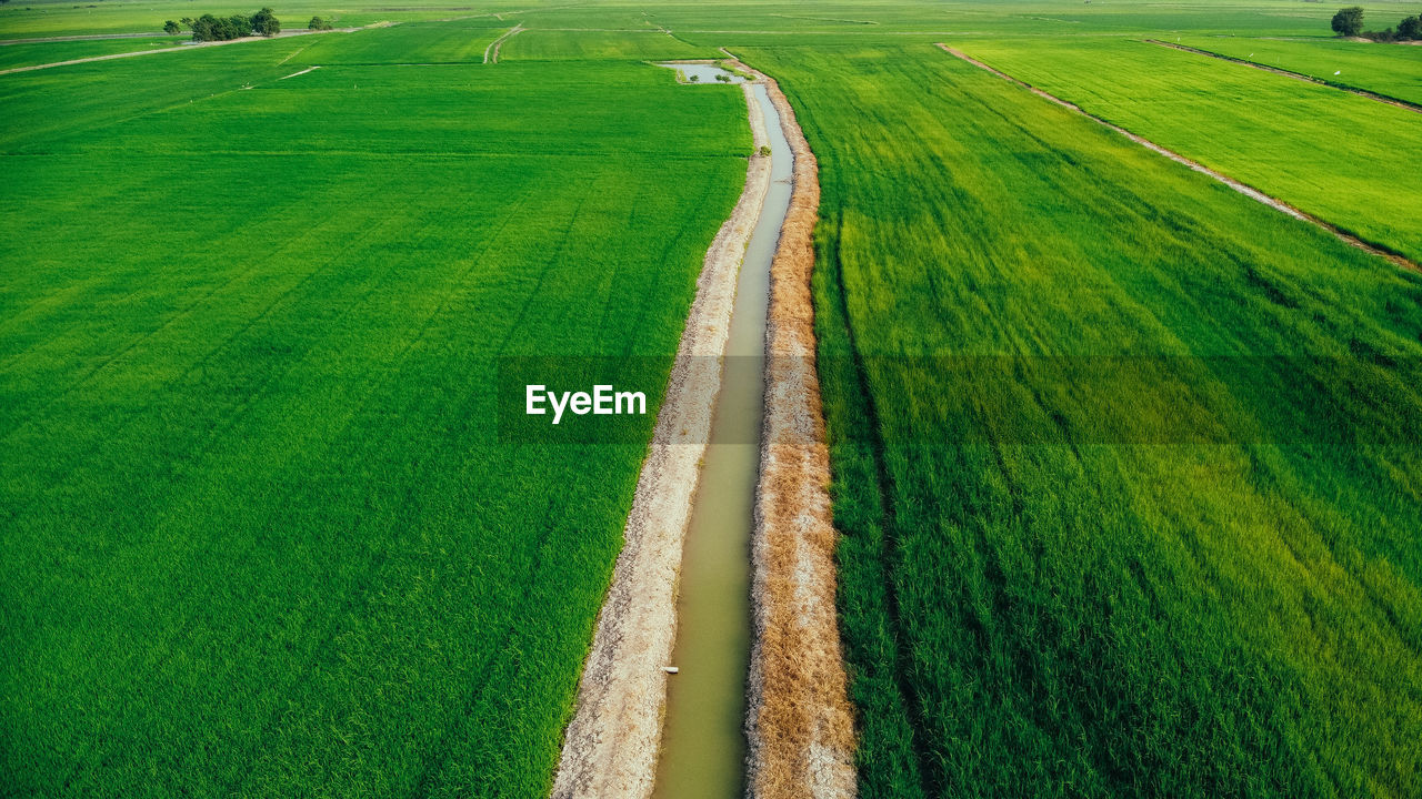 High angle view of agricultural field