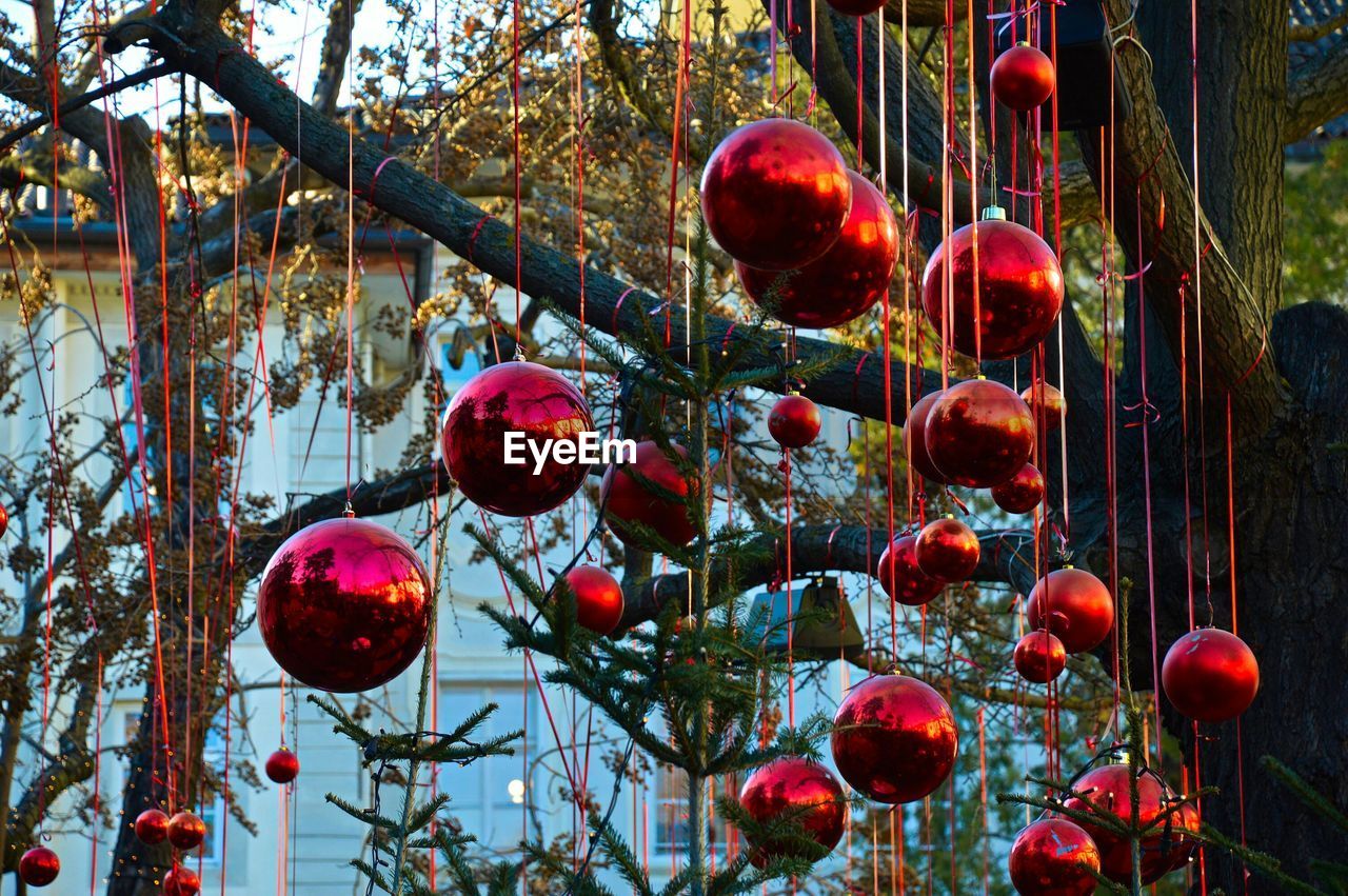 Low angle view of bauble hanging on tree