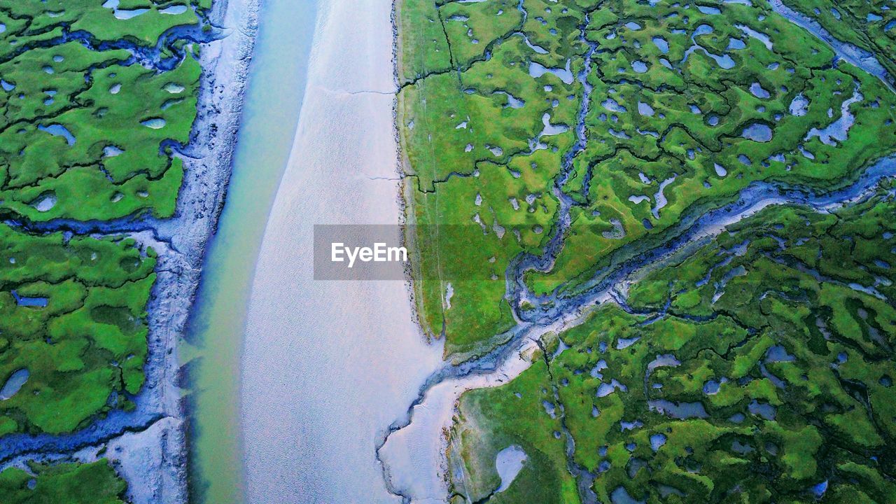 Close-up of fresh green landscape against sky