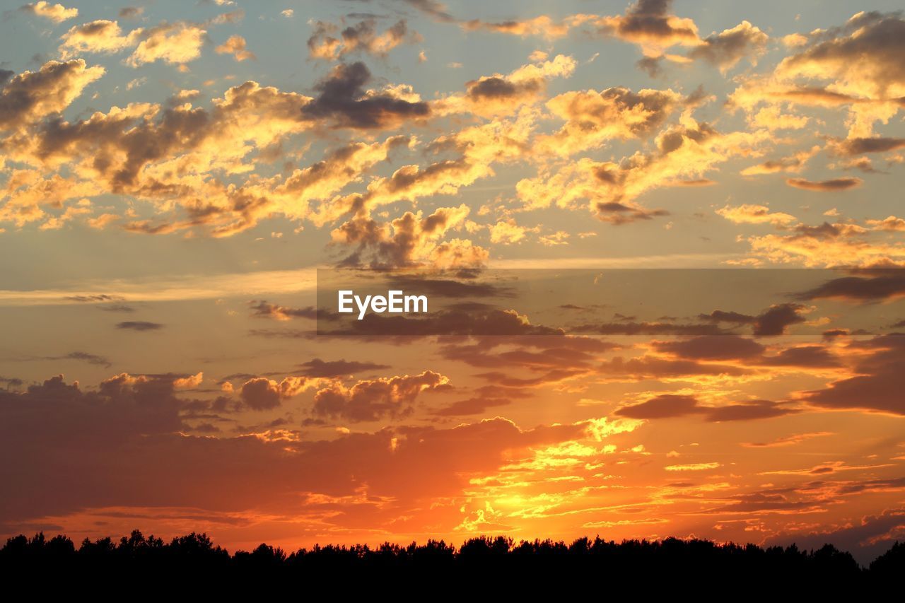 Low angle view of silhouette trees against romantic sky