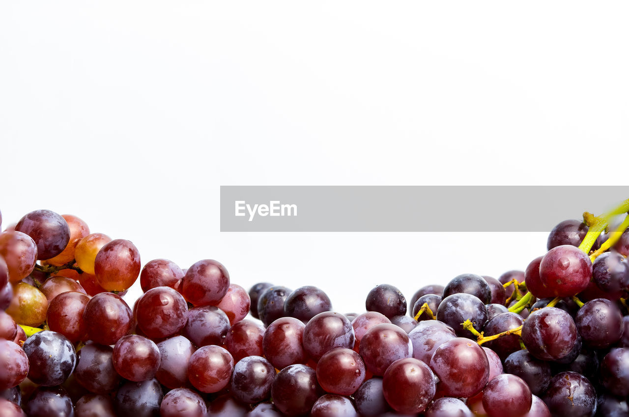 HIGH ANGLE VIEW OF GRAPES IN CONTAINER