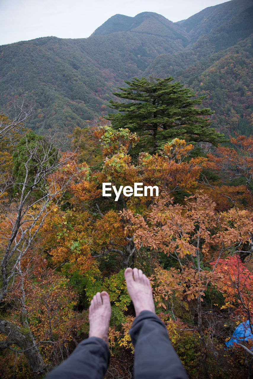 LOW SECTION OF MAN AND TREE ON MOUNTAIN